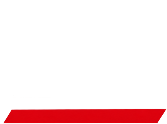 Tison Freight Lines Logo